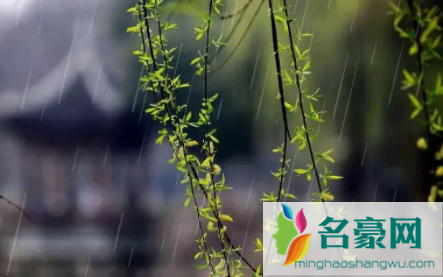 雨水节气几点到20232