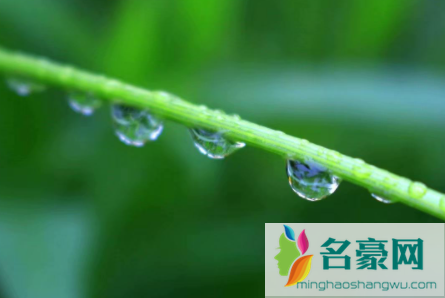 雨水节气几点到20233