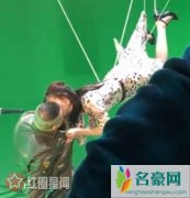 岳云鹏吻戏多吗 佟丽娅岳云鹏吻戏再掀高潮