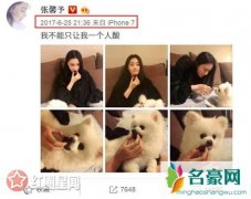 张馨予的狗狗猪猪吃杨梅被骂 晒照片扳回一局