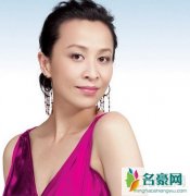 演员刘嘉玲个人资料资产 梁家辉刘嘉玲电影