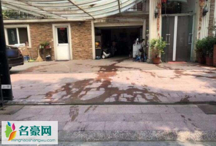 黄毅清豪宅后院曝光