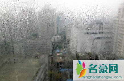 回南天发霉怎么去霉3