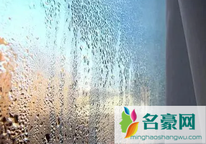 广东回南天一般到几楼1