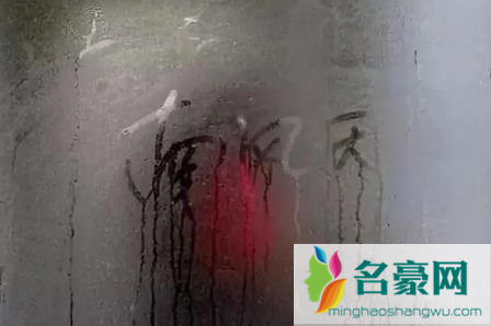 北海回南天从几月开始1