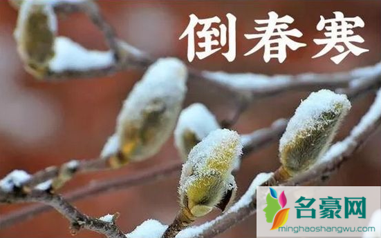 2022年倒春寒对大蒜生长有影响吗3
