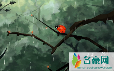 2023惊蛰出九天了吗3