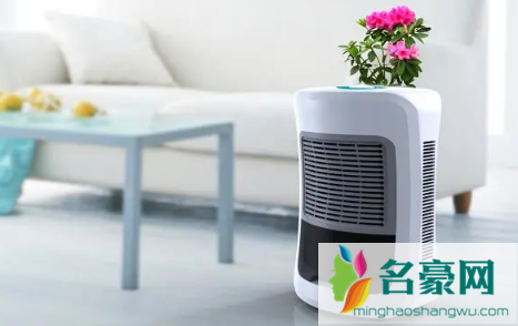 2022回南天除湿器要一直开着吗1