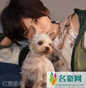 电视剧青春斗晋小妮扮演者是谁 原来她还演过如懿