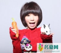 黄雅莉为什么不唱歌了 向往的生活超女重聚引网友