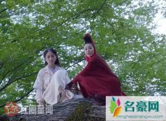 烈火如歌如歌为什么失忆 如歌忘记所有依旧对银雪