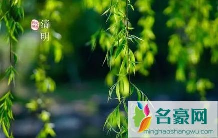 2022年清明节上坟属虎的能去不3