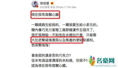 徐佳莹宣布怀孕 徐佳莹预产期是什么时候徐佳莹宝