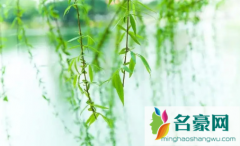 清明节去对象家好不好 清明节去对象家有啥讲究吗