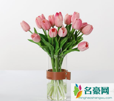 水培郁金香是一次性的吗1