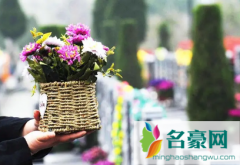 南京清明节上坟一个墓地可以预约几个人 南京清明