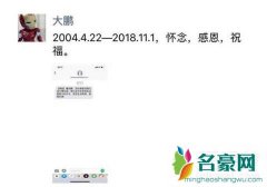 大鹏为什么从搜狐离职 大鹏在搜狐14年的那些事儿