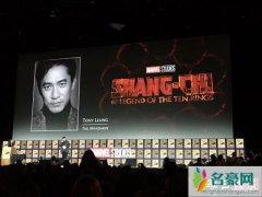 梁朝伟出演上气是怎么回事 梁朝伟经典电影大盘点