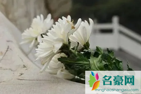 2022春社能扫旧坟吗1