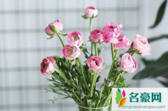 醒花必须要用圆形的桶吗 醒花的具体方法