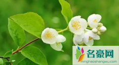 2022春分时节的气温能达多少度 春分天气暖和了吗
