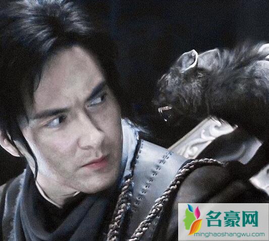 雪莉杨和鹧鸪哨的关系是什么
