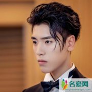怪你过分美丽徐陵是谁 王子异出演男二号令人期待