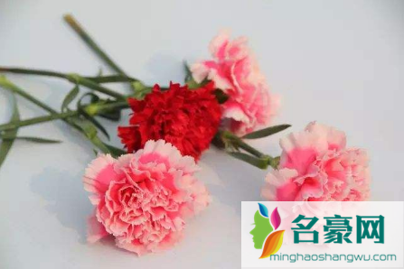 醒是放在温暖的环境还是放在寒冷的环境1