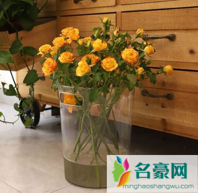 醒花能用桶装水吗3