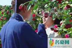 陈坤强吻蒋欣是真的吗 陈坤强吻蒋欣什么节目