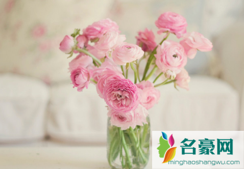 醒花对温度有没有要求1