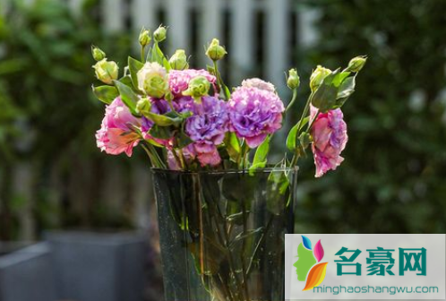 醒花一定要醒到花头以下吗1