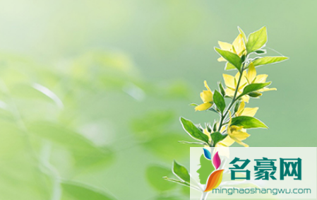 2022清明节不能去别人家吃饭吗3