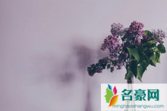 2022清明节不能去别人家吃饭吗 清明节去别人家会不