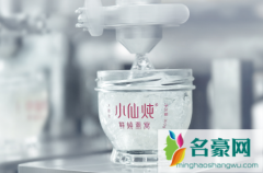 小仙炖燕窝是真的吗 小仙炖燕窝可以微波炉加热吗