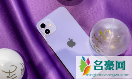 iPhone13pro有紫色吗1