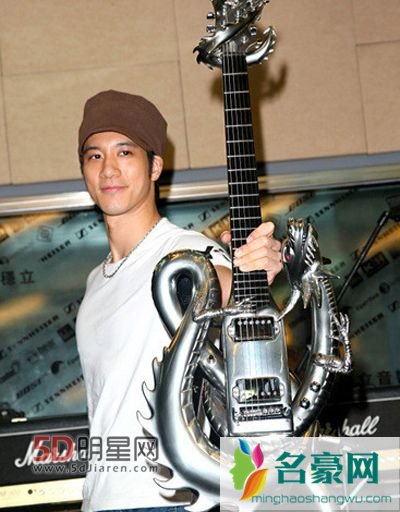 王力宏岳母涉地沟油 王力宏的吉他多少钱