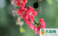2022年清明节生孩子吉利吗 清明出生要注意什么