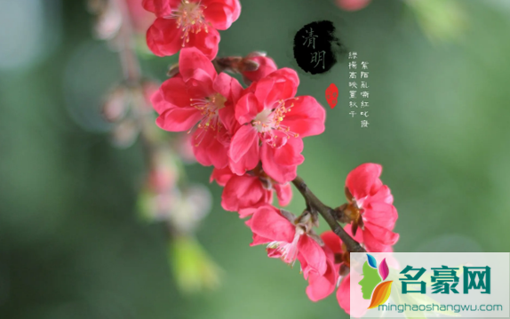 2022清明节生孩子吉利吗1