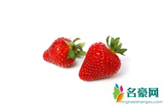 草莓表面有一层白霜洗干净能吃吗 草莓怎么挑选