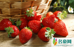 草莓尖尖是绿色的可以吃吗 如何选择草莓