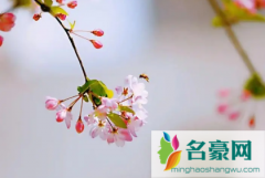 2022春捂要捂到什么时候 春捂到底该怎样捂