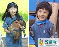 爸爸我们去哪儿宋智敏撞脸费曼 曝女版Feynman对比照