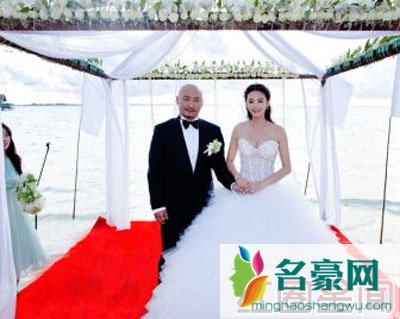王全安张雨绮结婚照