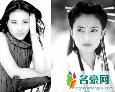 高圆圆和周海媚对比照 高圆圆和周海媚像吗