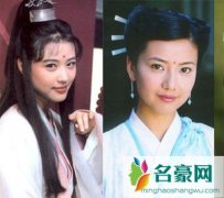 高圆圆和周海媚对比照 高圆圆和周海媚像吗