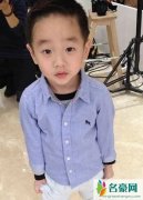 爸爸去哪儿陆毅杨威照片及资料 杨威向贝儿陆毅道