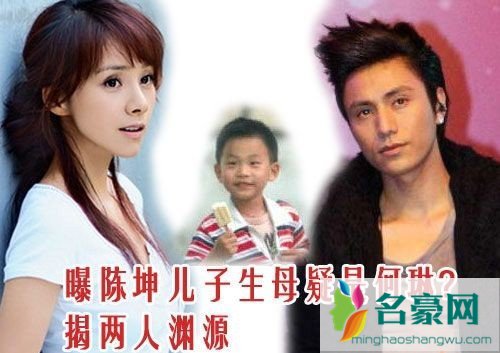 陈坤儿子生母被证实 陈坤儿子生母是何琳照片