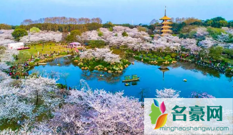 武汉东湖夜樱几点开灯20223