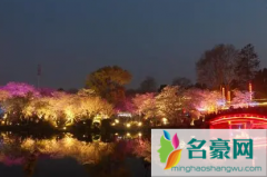 2022武汉东湖夜樱需要预约吗 东湖夜樱开放时间是什
